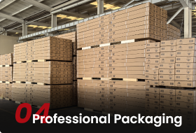 Professional Packaging